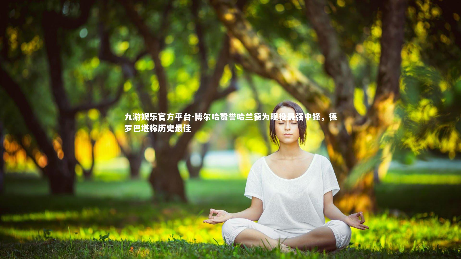 博尔哈赞誉哈兰德为现役最强中锋，德罗巴堪称历史最佳